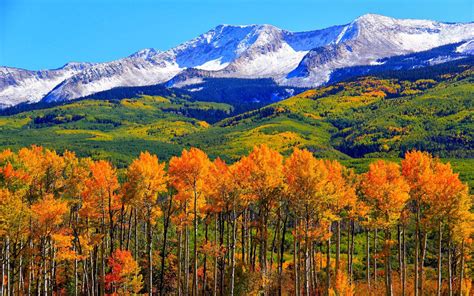 Autumn Colorado Fall Snowy Mountains Nature Landscape Hd Wallpaper 1920x1200 : Wallpapers13.com