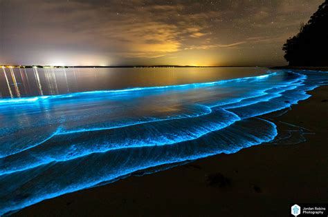 Stunning bioluminescence display in Jervis Bay