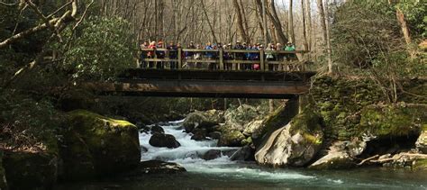 Big Creek Trail tells story of logging before GSMNP created | Friends of the Smokies