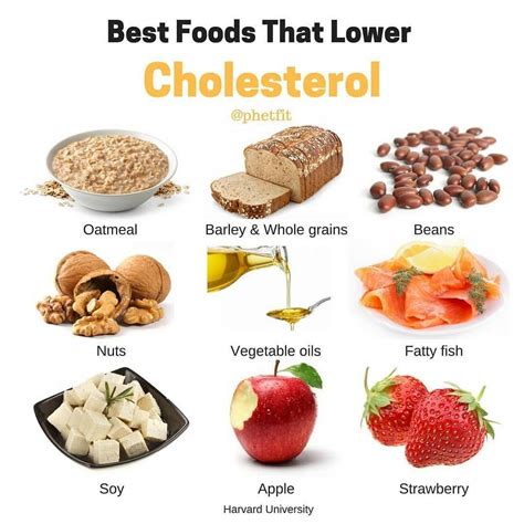 Foods That Lower Cholesterol Naturally How To Reduce Ldl Cholesterol ...