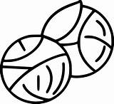 Brussels Sprouts Coloring Pages  Best For Kids sketch template