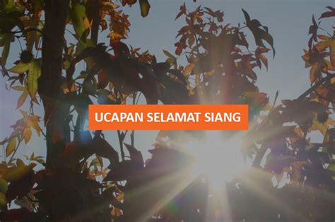 20+ Ucapan Selamat Siang Yang Hangat Untuk Diucapkan Kepada Semua