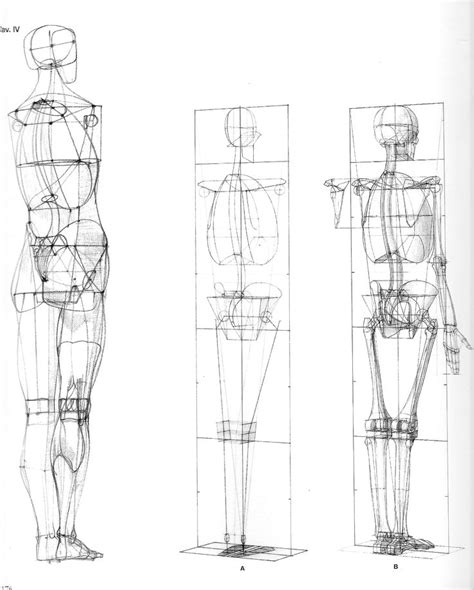 1000+ images about _Tutorials_Body_proportions on Pinterest | Anatomy ...