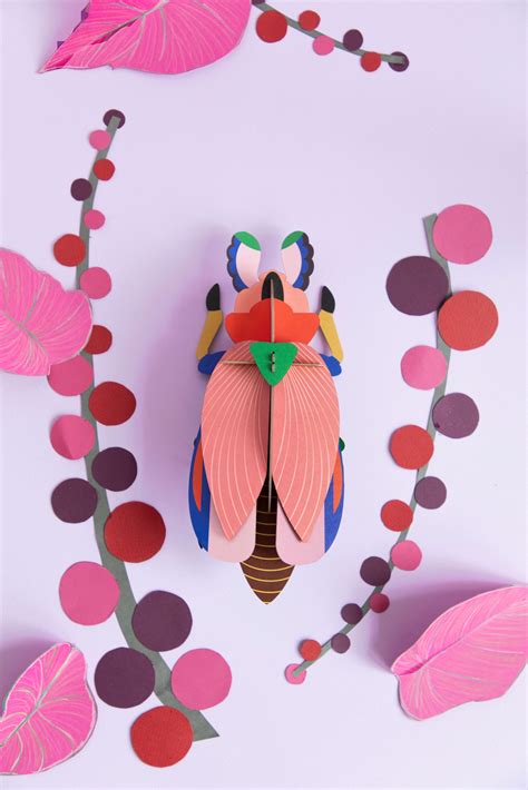 Giant Lady Bird (beetle) | Nicole Frith