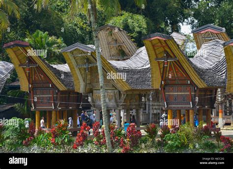 Tana Toraja, Sulawesi, Indonesia: Tongkonan traditional houses on ...