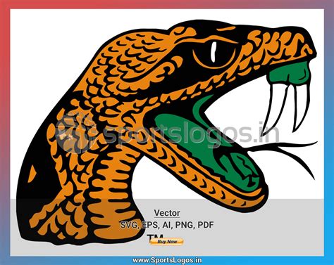 Florida A&M Rattlers - College Sports Vector SVG Logo in 5 formats - SPLN001492 • Sports Logos ...