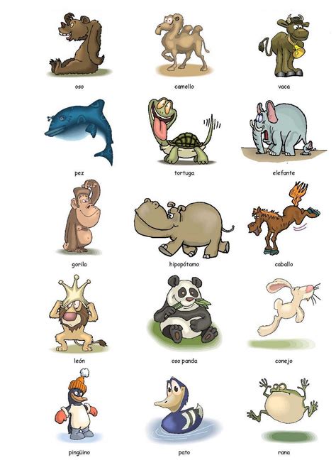 Animal Flashcards