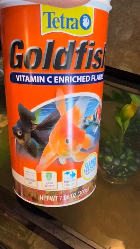 Tetra Fin Goldfish Flakes Reviews - Pet Food Guide