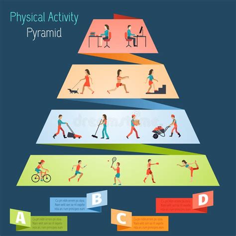 Physical Activity Pyramid Infographics Stock Vector - Image: 52107938