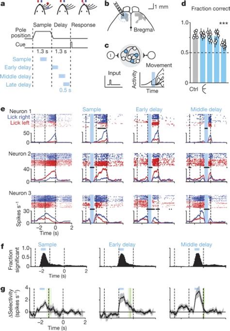 Robust neuronal dynamics in premotor cortex during motor planning | Nature