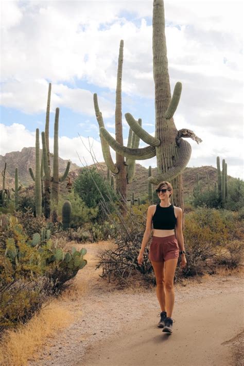 Saguaro National Park East Vs West: Which Side Is Better? | Alexys Abroad