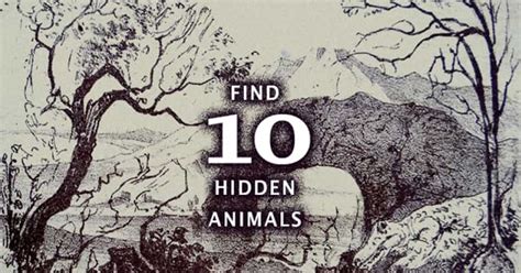 This Complex Optical Illusion Has More Than 10 Hidden Animals.