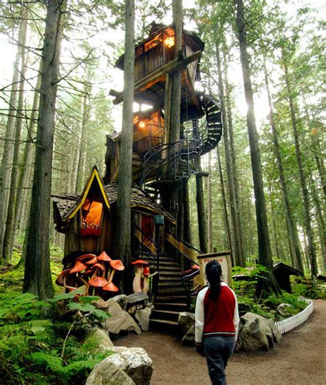 Best treehouse hotels around the world - Daily Star