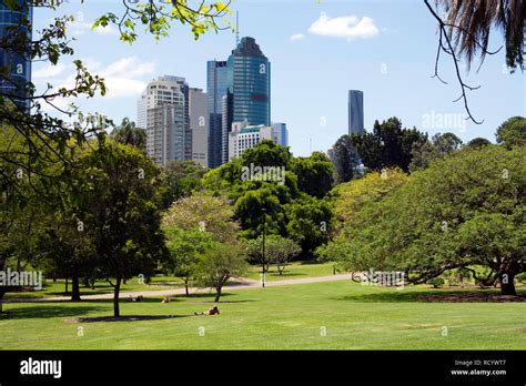 City Botanic Gardens, Brisbane, Queensland, Australia Stock Photo - Alamy