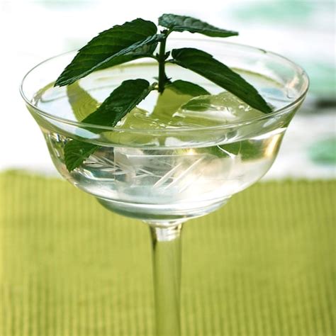 Drinks & cocktails with Crème de Menthe, White | Absolut Drinks