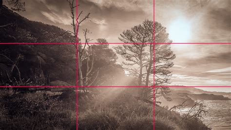 Rule of Thirds in Photography (15 Examples + Tips)