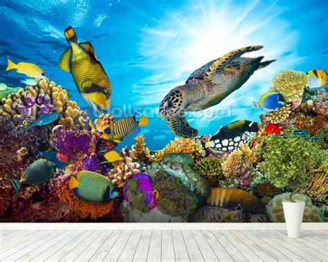 Coral Reef Diversity Wallpaper Wall Mural | Wallsauce Canada