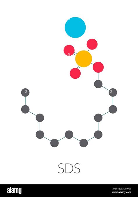 Sodium dodecyl sulfate molecule hi-res stock photography and images - Alamy