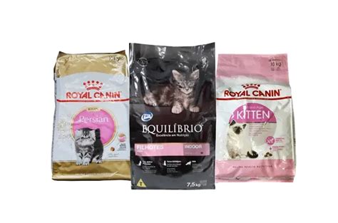 7 Rekomendasi Makanan Kucing yang Bagus dan Kaya Nutrisi