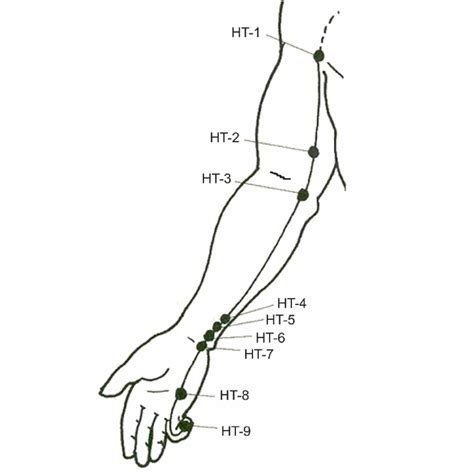 The Heart Meridian. — Acupuncture & Vedic Meditation in Boulder, CO