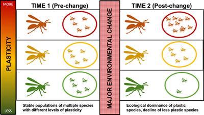 Frontiers | A Potential Role for Phenotypic Plasticity in Invasions and ...