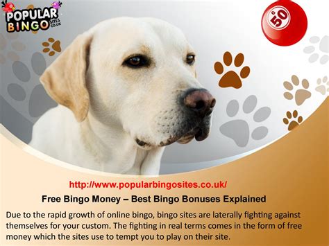 Free bingo money – best bingo bonuses explained by emiliaclarke10 - Issuu