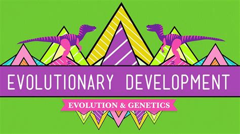 Evolutionary Development: Chicken Teeth - Crash Course Biology #17