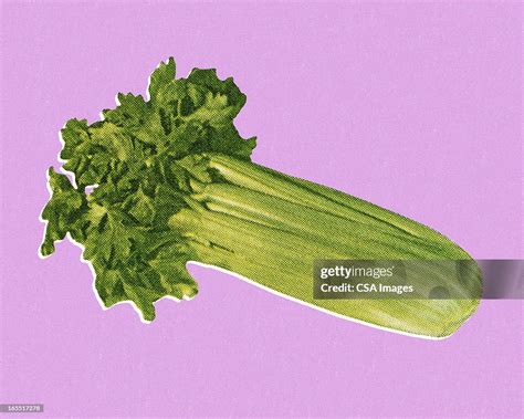 Stalk Of Celery High-Res Vector Graphic - Getty Images