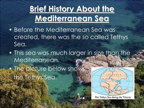 PPT - The Mediterranean Sea PowerPoint Presentation, free download - ID:5033861