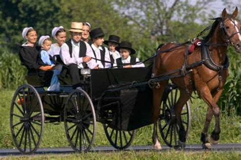 Le secret de longévité des Amish - Santé Corazon