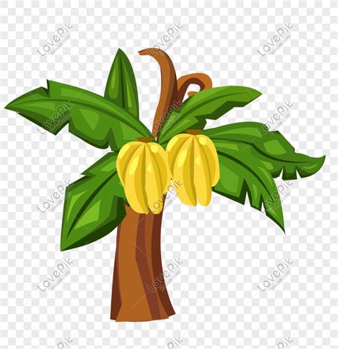 Cartoon Hand Drawn Banana Tree Vector, Tree, Hand Tree, Vector Hand PNG ...