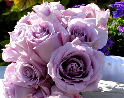 The Flower Girl Blog: lavender roses