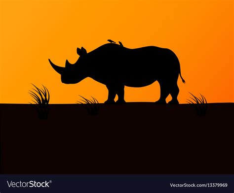 Free download Black Rhino Head Over Blurred Background High Res Stock ...