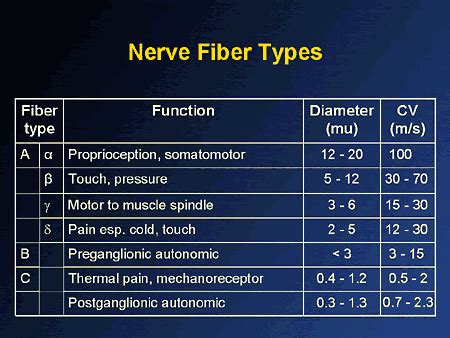 Miscellaneous (Nerve fibers. There are 3 types of peripheral...)