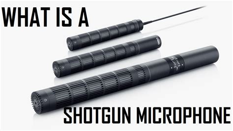 What is a Shotgun Microphone - Hollyland