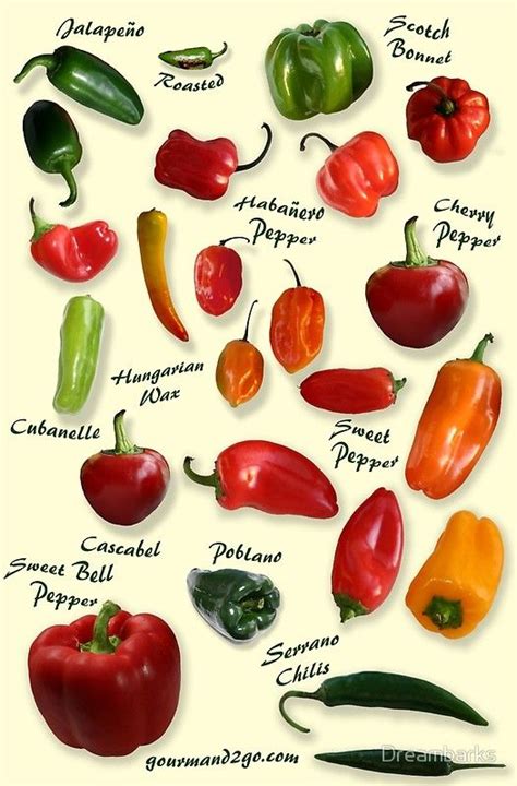 Red Chili Pepper California at Douglas Carrion blog