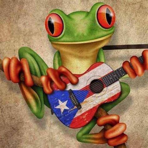 Coqui playing guitar | Puerto rico art, Puerto rico, Puerto rico history