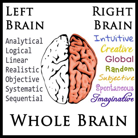 Left-Brain, Right-Brain, Whole-Brain Learning