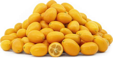 Nagami Kumquats Information, Recipes and Facts