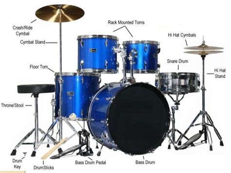 Guide to Different Types of Drums - Todd Johnson Adelaide