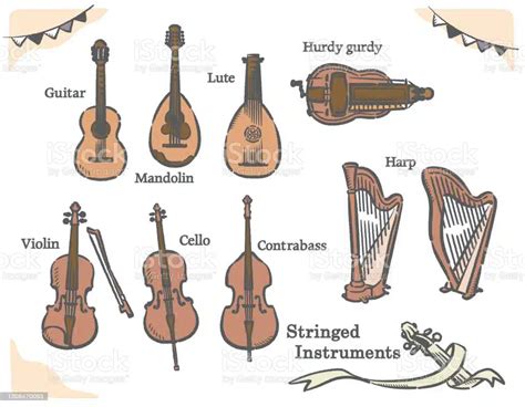 string instruments | Musikclass 2024