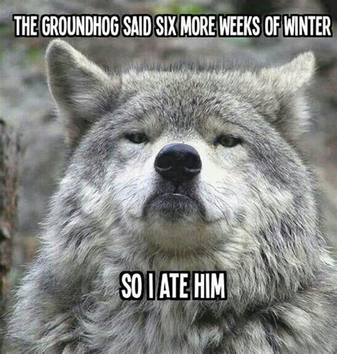 10 Groundhog Day Memes That Celebrate The Ridiculousness Of This Tradition