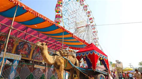 Pushkar Camel Fair 2024 - Dates, History, Major Attractions | Adotrip