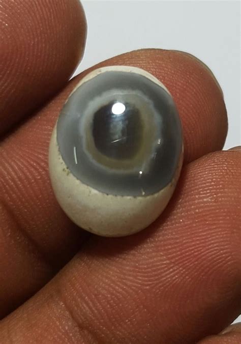 13 TCW Natural Eye Agate Oval Cabochon gemstone 17 x 13mm | Oval ...