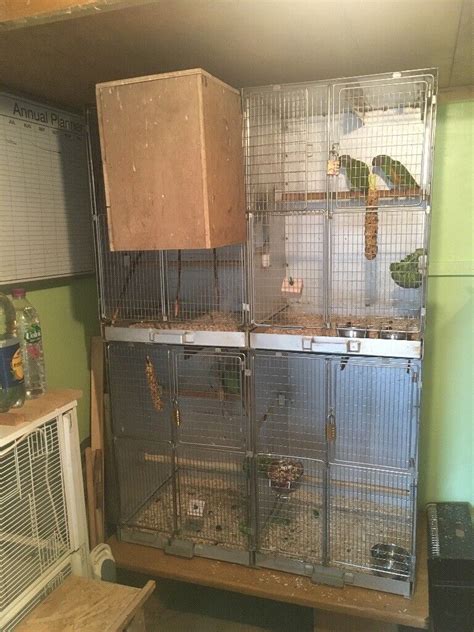 Bird / parrot breeding cages (no livestock) | in Exeter, Devon | Gumtree