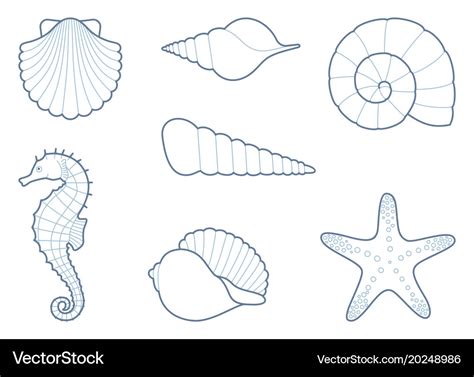 Outlines of sea creatures Royalty Free Vector Image