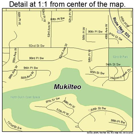 Mukilteo Washington Street Map 5347735