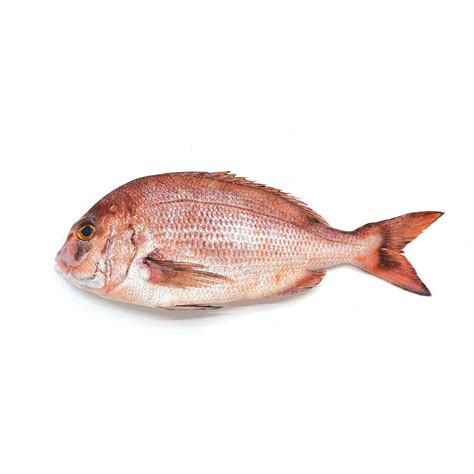 Red Sea Bream (Pagel) 1kg - Bottarga