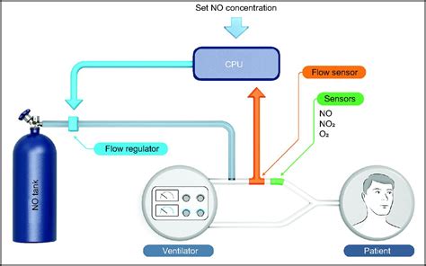 Inhaled Nitric Oxide Delivery Systems for Mechanically Ventilated and Nonintubated Patients: A ...