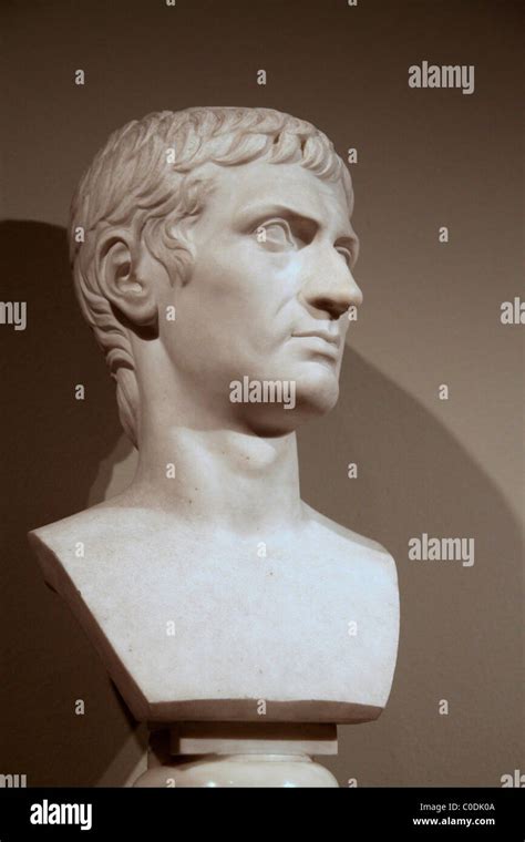 Bust of the Roman orator Cicero in the Metropolitan Museum, New York Stock Photo - Alamy